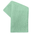 Dunroven House Waffle Weave Tea Towel K330 Light Green